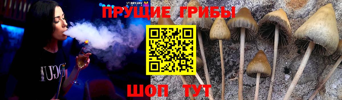 Галлюциногенные грибы Magic Shrooms Грязи