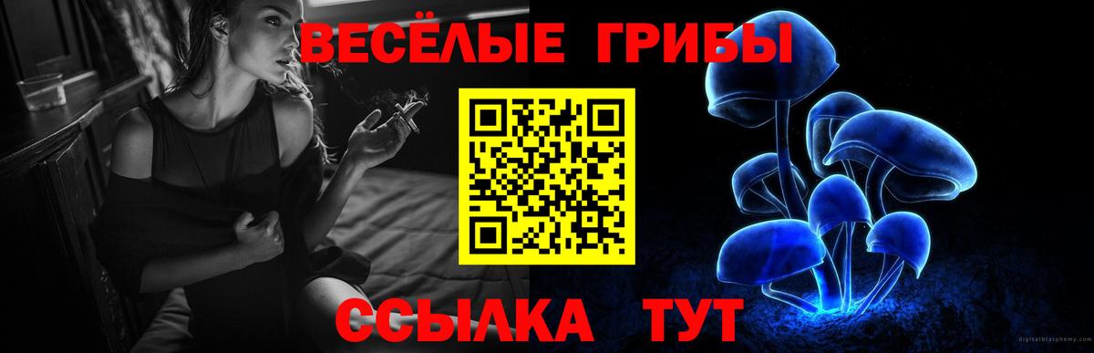 Галлюциногенные грибы Cubensis  Вход с VPN  Грязи 